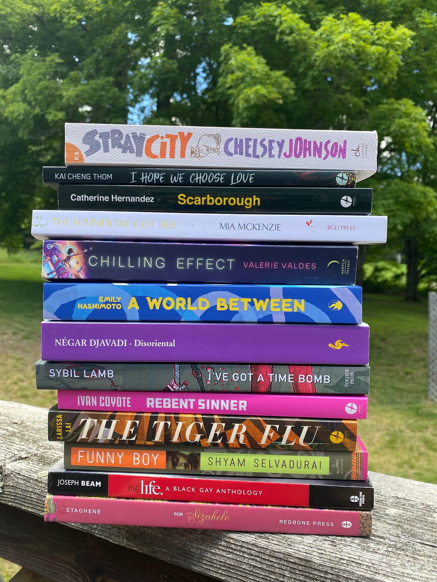 A large stack of books on a wooden porch railing in front of a large maple tree. In addition to the titles listed above, the stack includes: Stray City, Chilling Effect, Disoriental, I’ve Got a Time Bomb, The Tiger Flu, Funny Boy, In the Life, and For Sizakele.