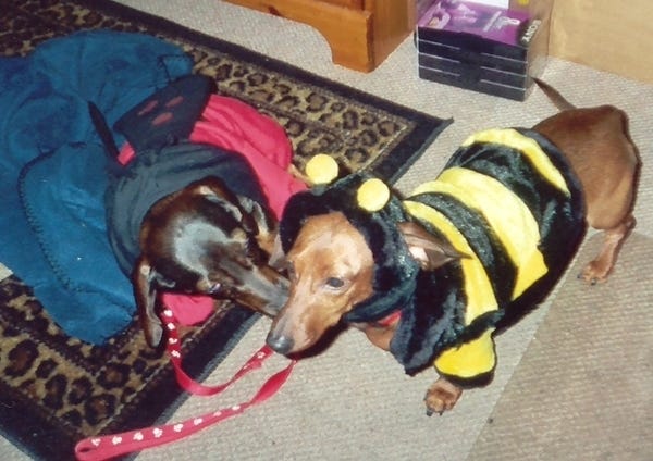 Sami and Angel bee-ing sistas and besties. See below for more on Sami and Angel!