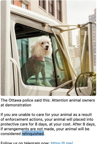 Screenshot dari berita polisi Ottawa akan merampas anjing-anjing peliharaan para pemrotes.