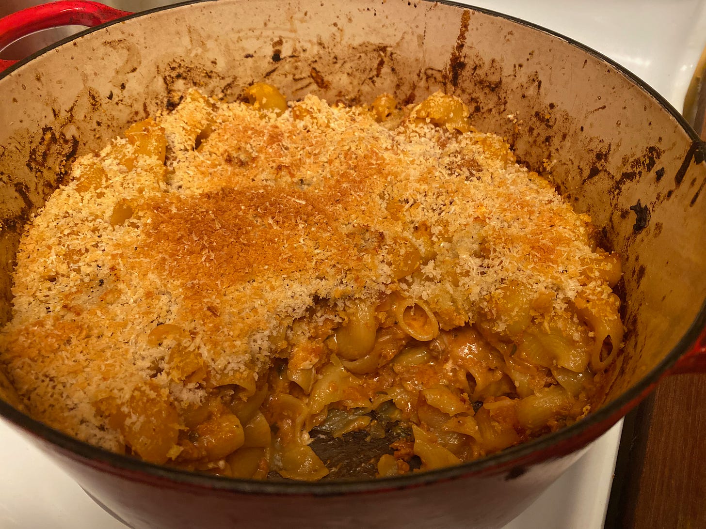 A cheesy pasta casserole in a large Dutch oven. The top is covered in golden brown bread crumbs.