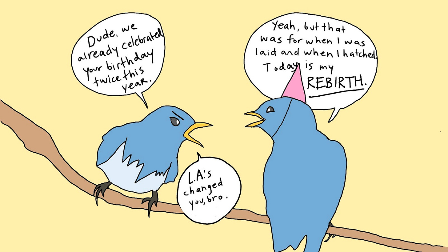 Two birds sit on a branch. The bird on the left is angry and the bird on the right is wearing a party hat. The bird on the left says, “Dude, we already celebrated your birthday twice this year.” The party hat bird replies, “Yeah, but that was for when I was laid and when I hatched. Today is my rebirth,” to which the bird on the left responds, “L.A.’s changed you, bro.”