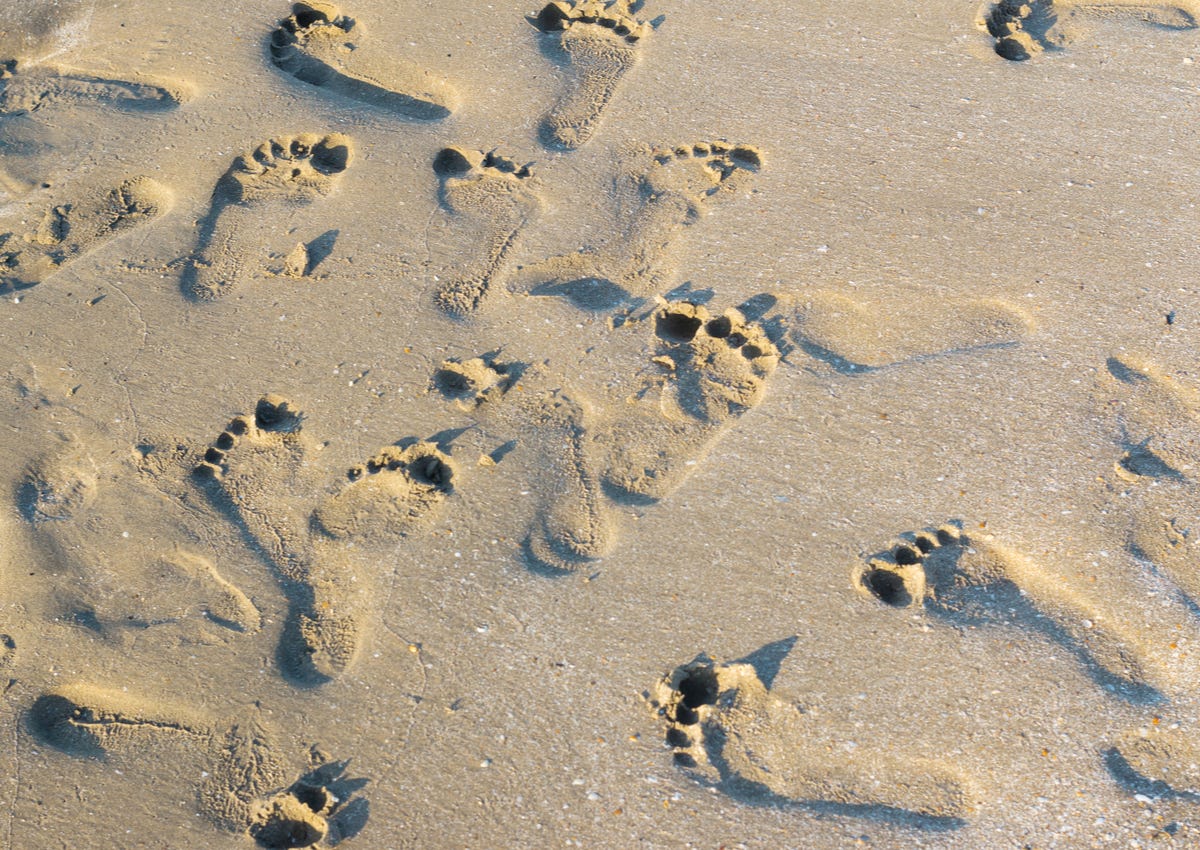 Researchers train AI to identify people from their footsteps | VentureBeat