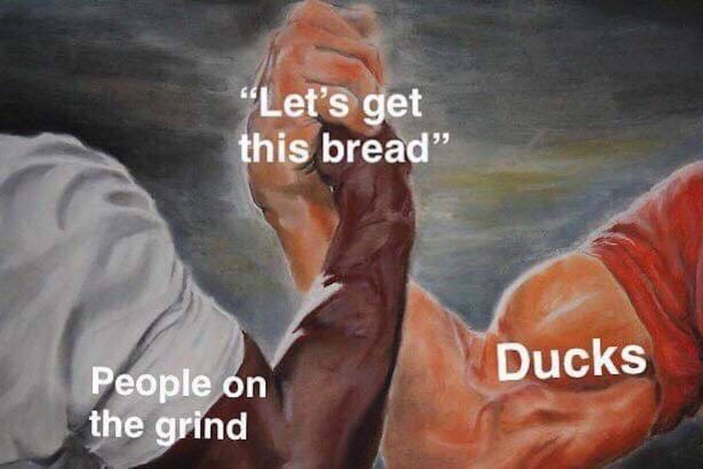 Top 'Let's Get This Bread' Memes | Culture Kings US