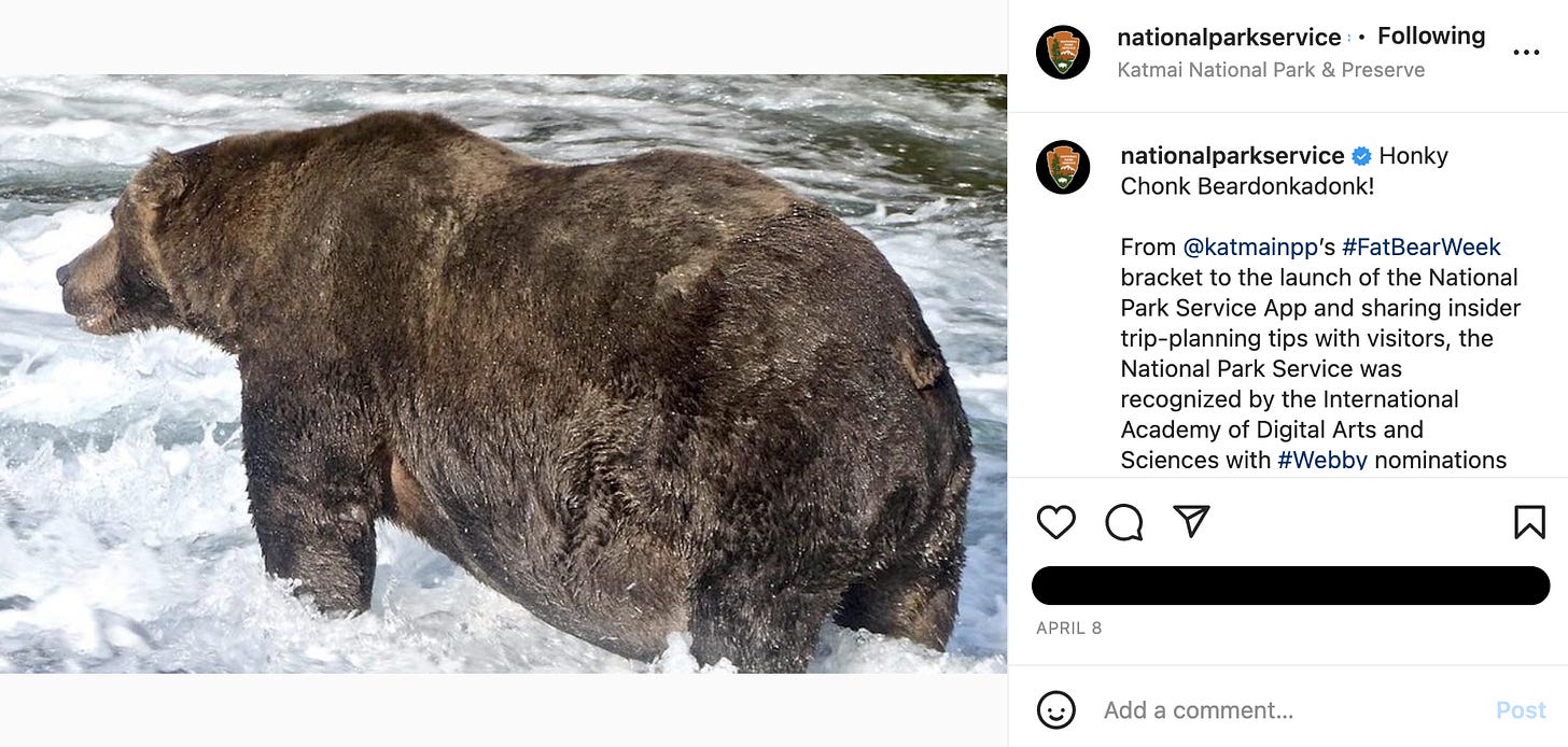 A fat bear with a caption of "Honky Chonk Beardonkadonk"
