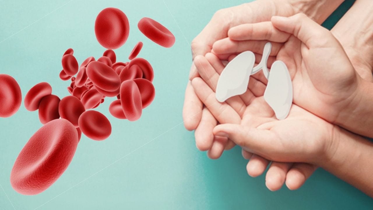 Success in changing blood group for organ transplant, read how it happened  and how much will it change?