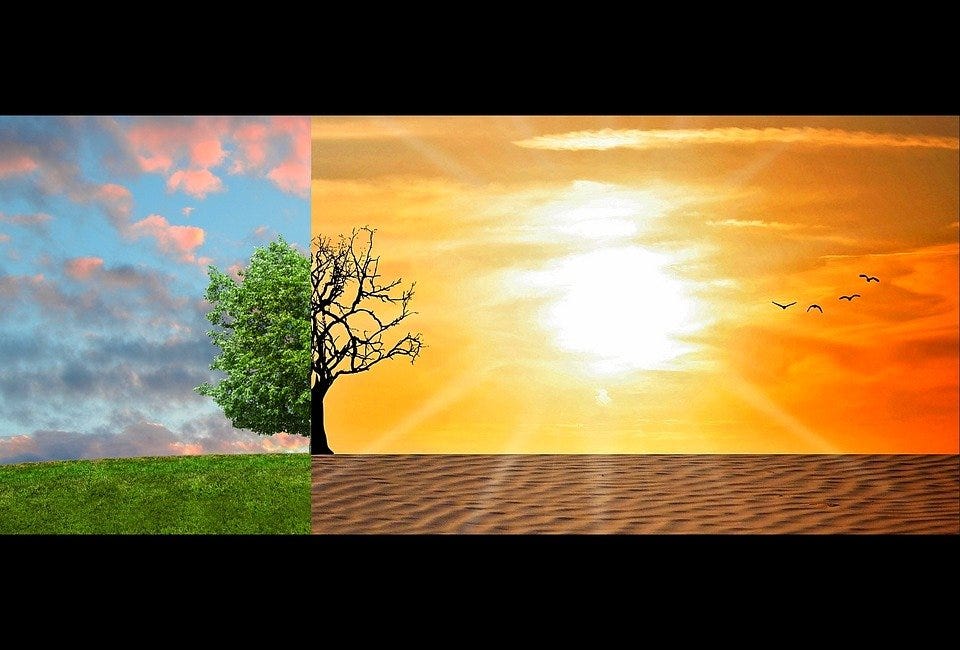 Climate Change, Global Warming, Climate, Change, Desert