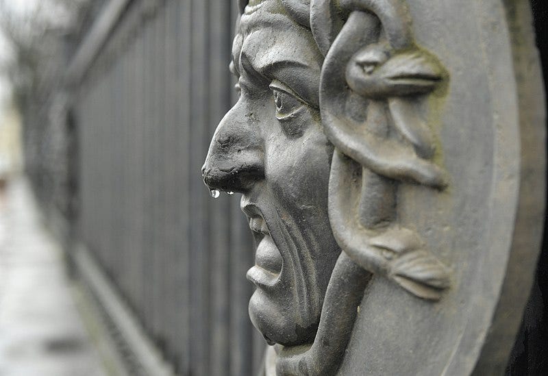 File:Again, a runny nose ^ All runny nose - panoramio.jpg