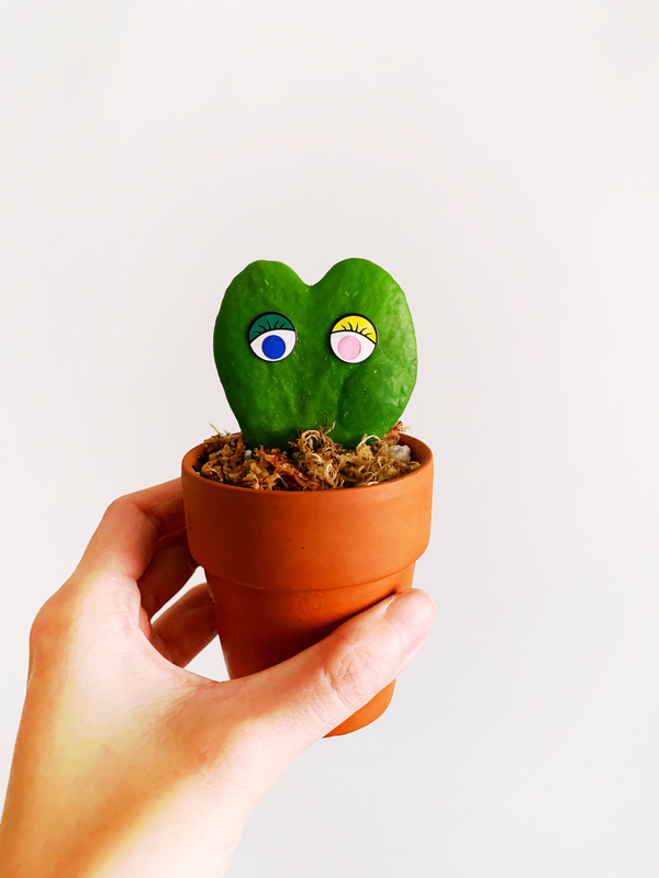 A leaf cutting of a Hoya kerri that will just grow as a heart. I stuck eyes on it to brighten up my mood.
