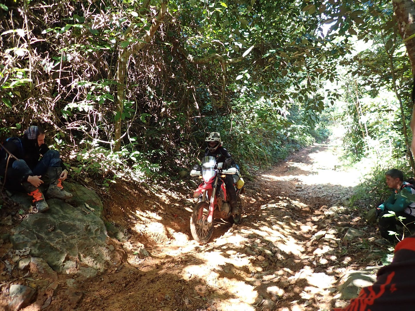 May be an image of 3 people, dirt bike, motorcycle, nature and tree