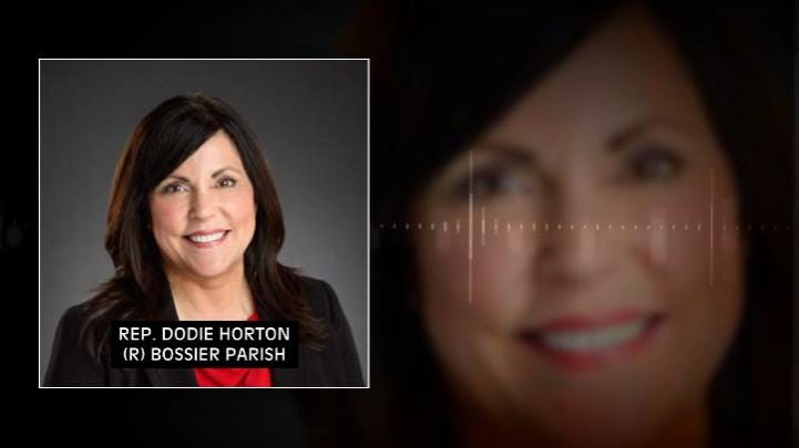 Don't Say Gay' pile-on: Louisiana State Rep. introduces sweeping bill Don't Say Gay' pile-on: Louisiana State Rep. introduces sweeping bill