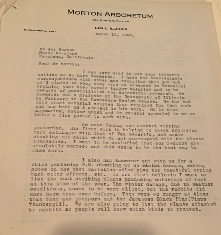 Letter on Morton Arboretum stationary addressed to Joy Morton - detailing the hiring of Mr. Kammerer and the work he has started on.