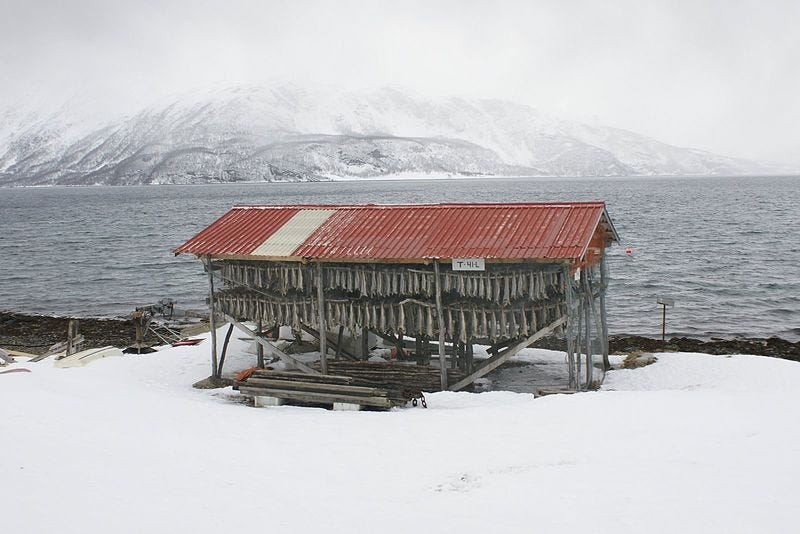 File:Cod drying in Lyngen.JPG