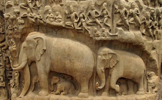 Animals in Indian Culture create an `inclusive universe`