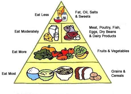 That Whole Food Pyramid Thing? Yea That's A Lie | by Jay ...