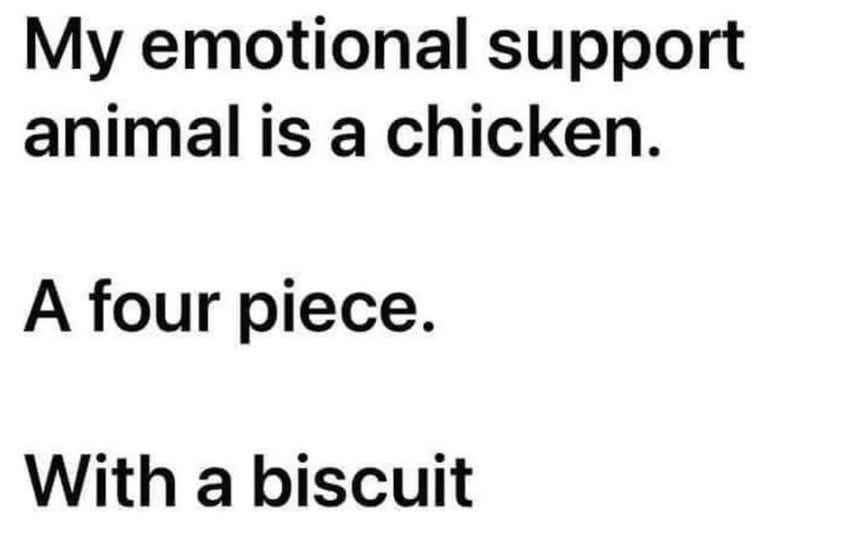 May be an image of text that says 'My emotional support animal is a chicken. A four piece. With a biscuit'