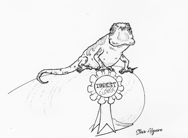 Ink drawing of a tiny chameleon on a fingertip. He holds a tiny marker in his front foot. A prize ribbon that originally said "Tiniest" has been crossed out and "Cutest" written in.