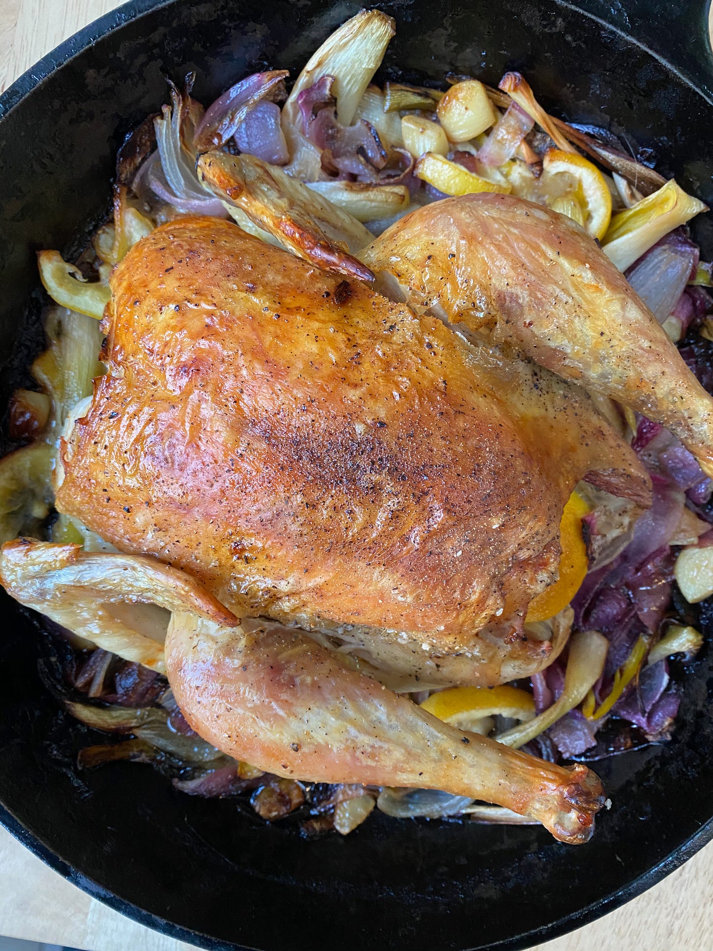  A golden brown roast chicken sits in a cast iron pan. Slivers of red and yellow onions, lemon halves, and garlic cloves are nestled around it.