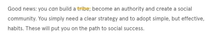 Snippet from a blog article from a marketing agency. Text reads: "Good news: you can build a tribe..."