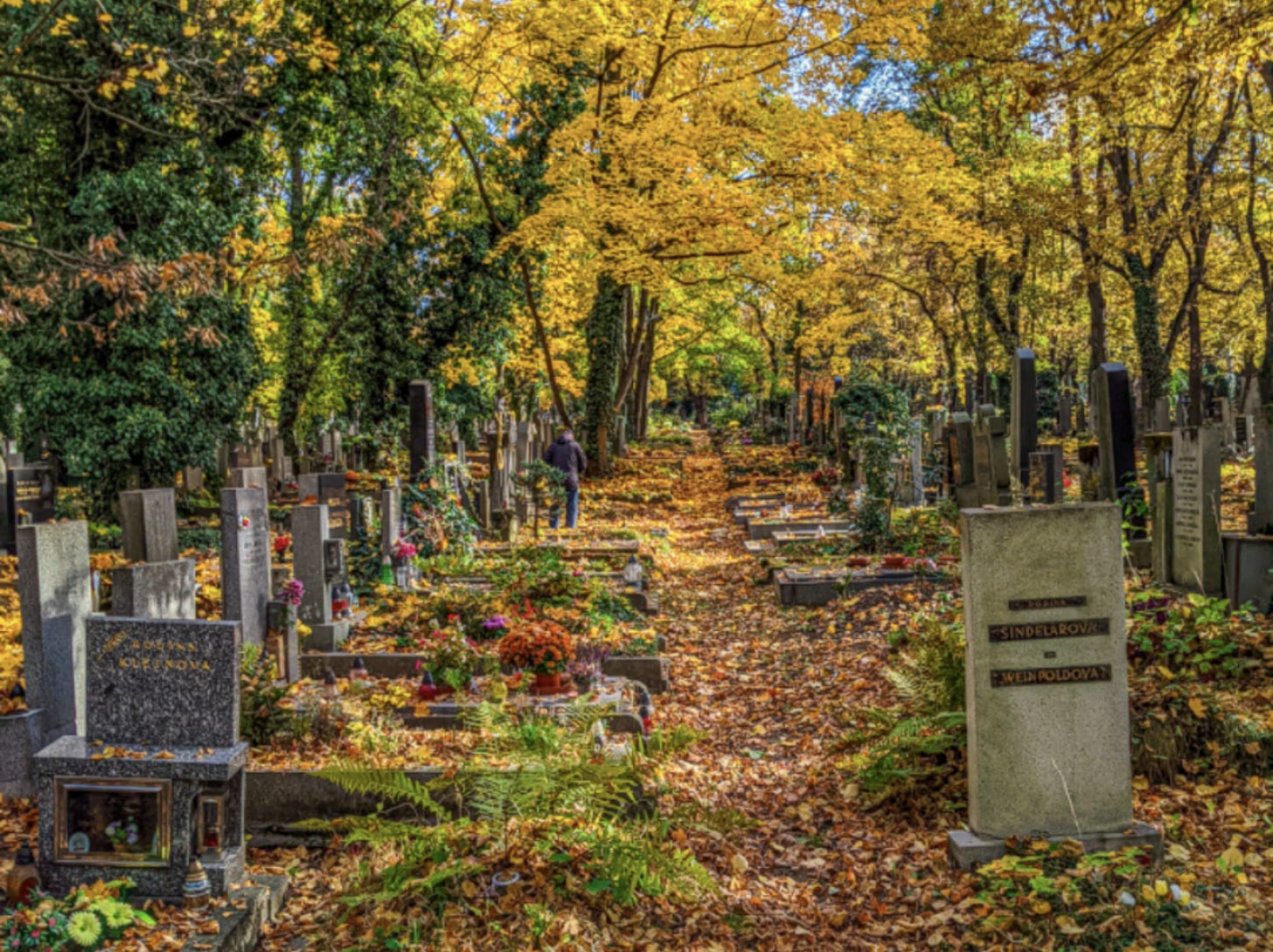 A tree covered row of gravestones in Olsany cemetery, Prague's largest. 