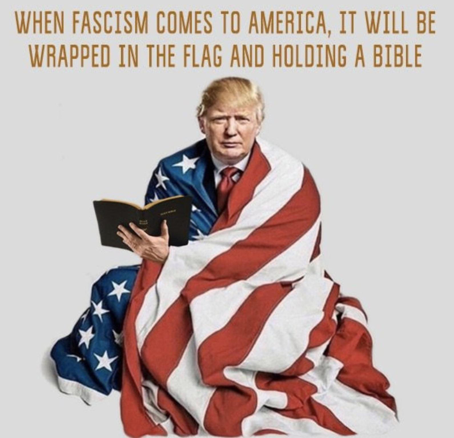 PractiCalifornia on Twitter: "@MiaFarrow @TimOBrien When Fascism comes to  America, it will be wrapped in a flag, and holding a Bible.  https://t.co/iPIlNjqZOK" / Twitter