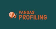 pandas profiling logo