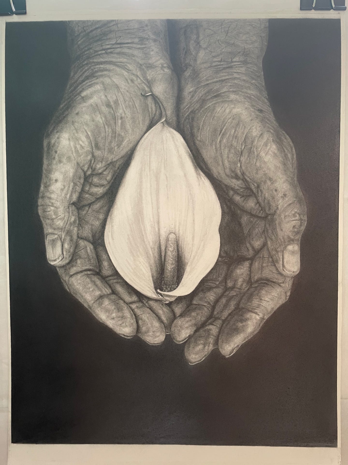 A black and white drawing depicting a pair of hands making a bowl and holding a white flower
