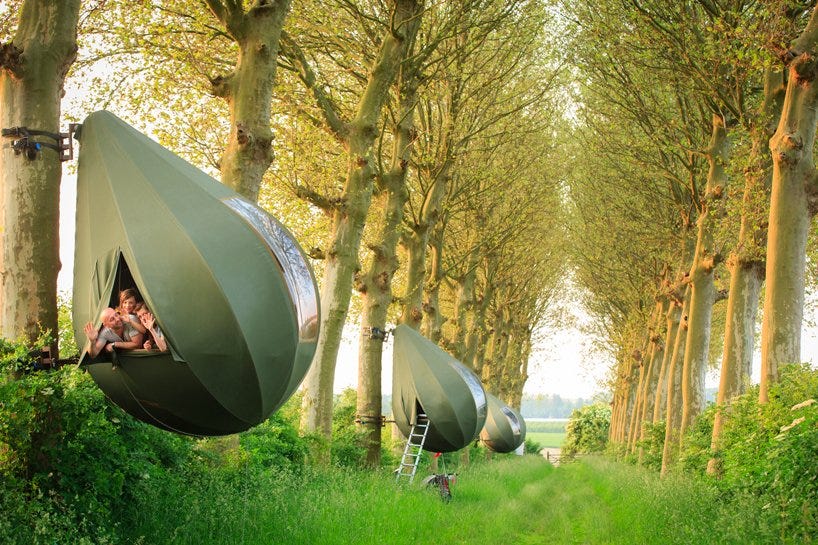 spend the night in a teardrop-shaped tent suspended in a belgian forest designboom