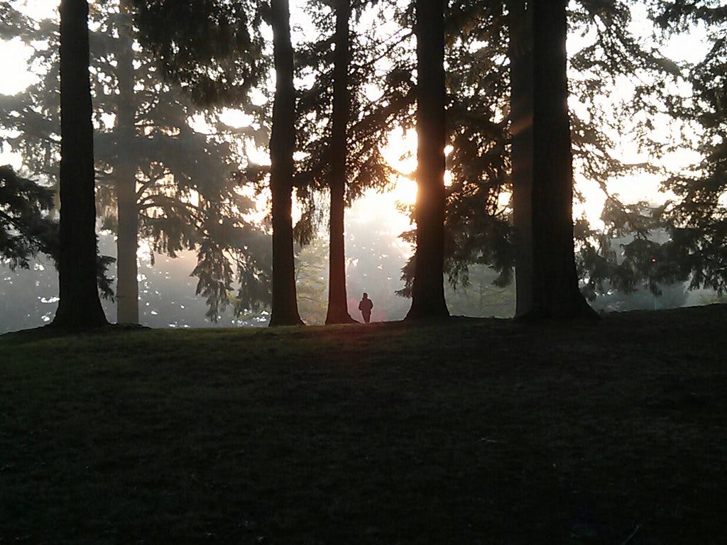 Tommy Watches The Sunrise, Mt Tabor