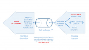 IVC-volume