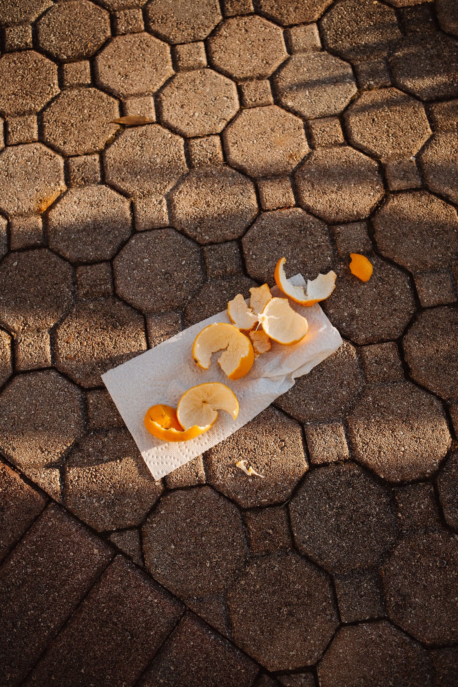 Orange peel  on top of a piece of kitchen towel on the sidewalk in the sun.