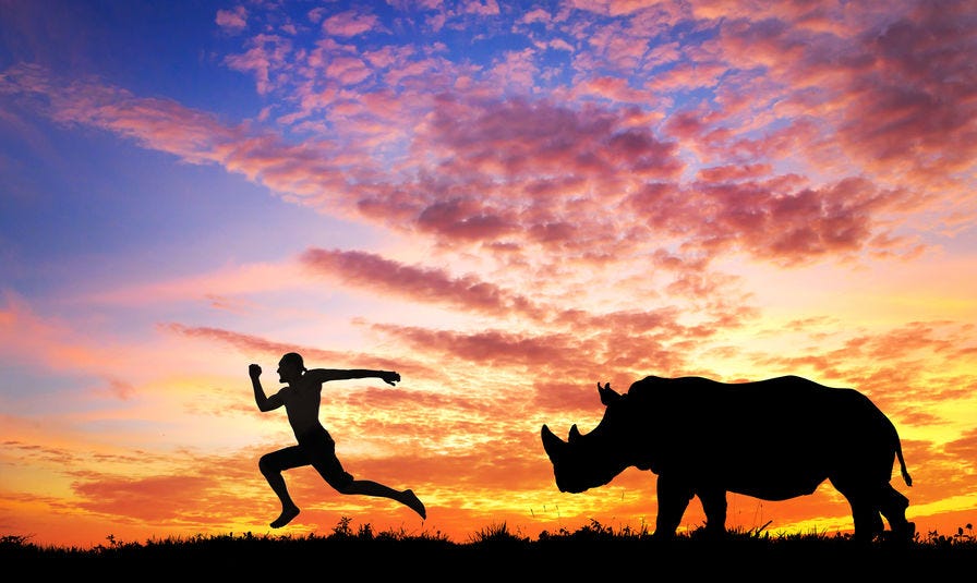 Man running away from rhino at sunset in savanna