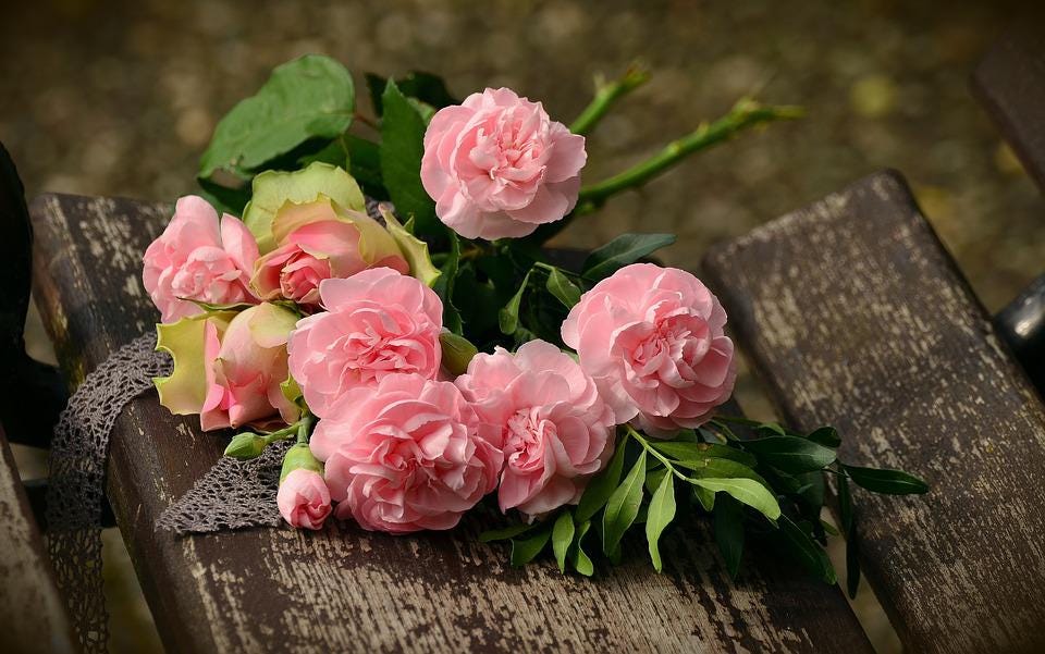 Roses, Pink Roses, Flowers, Pink Flowers, Petals