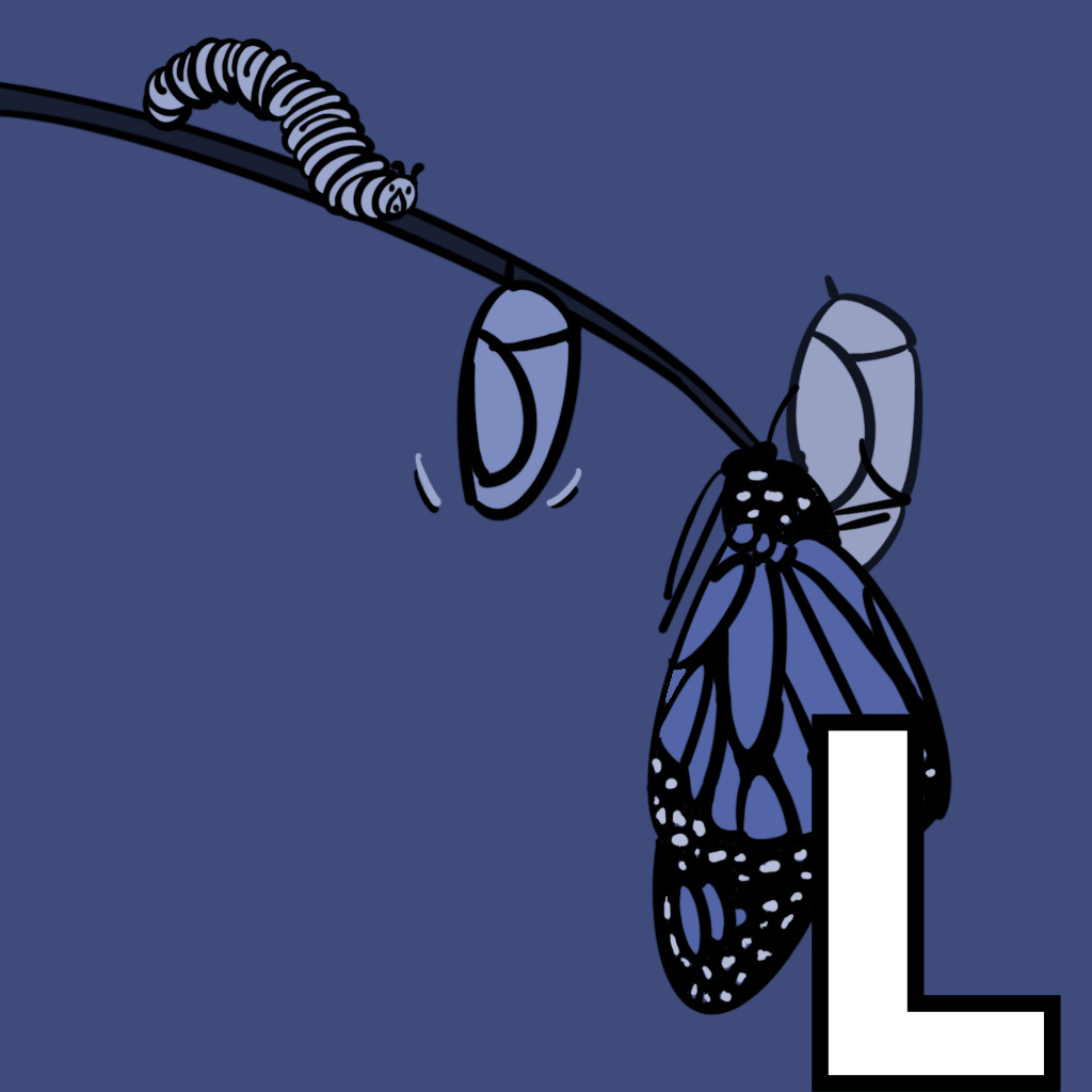 Illustration of caterpillar, chrysalis, and butterfly