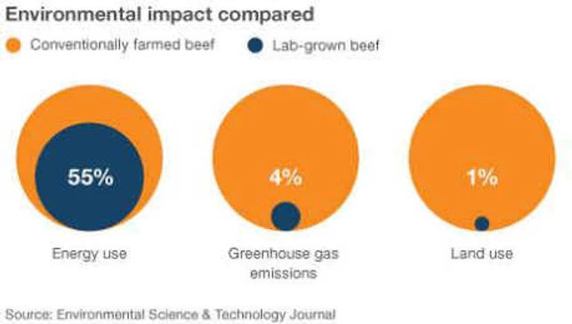 Environmental impact of conventionally farmed beef vs. lab-grown beef
