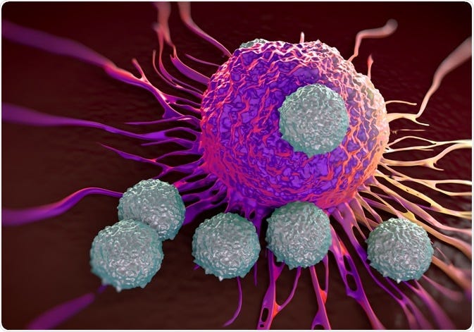 What are T Cells?