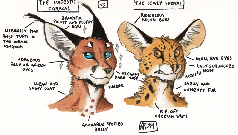 Caracal vs Serval by 0laffson on DeviantArt