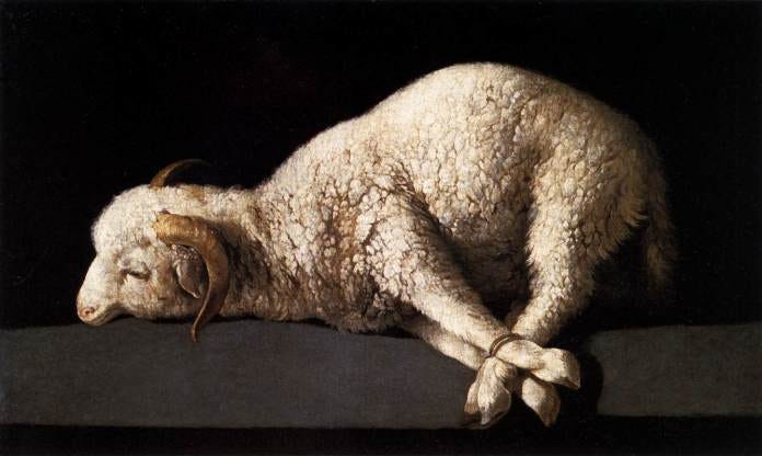 sacrifice lamb