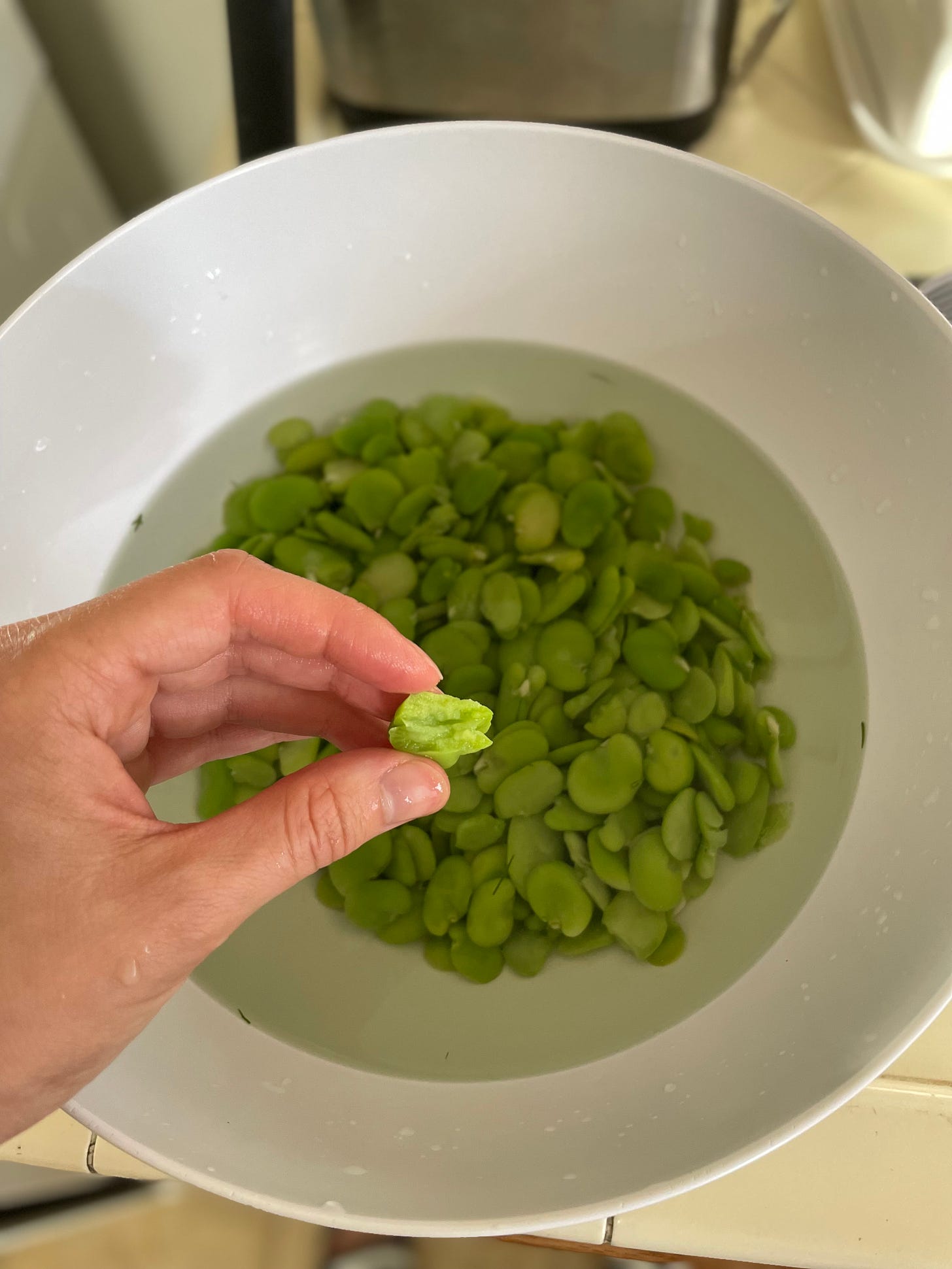 Cooked fava beans in bowl of water