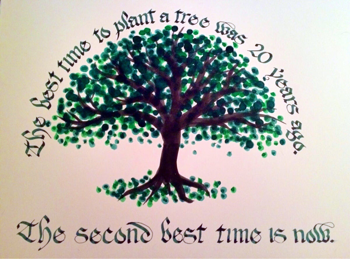 The best time to plant a tree : r/GetMotivated