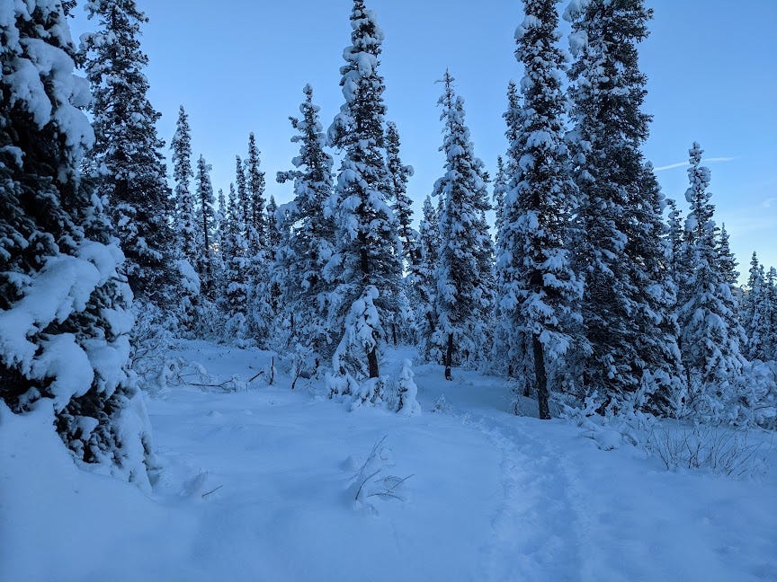 a snowy path
