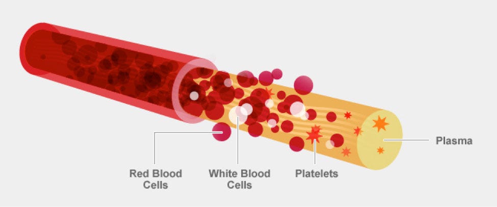 Blood Components