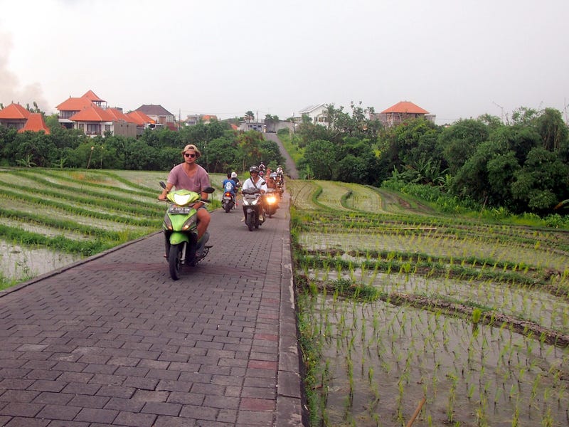A road in the rice fields of Canggu