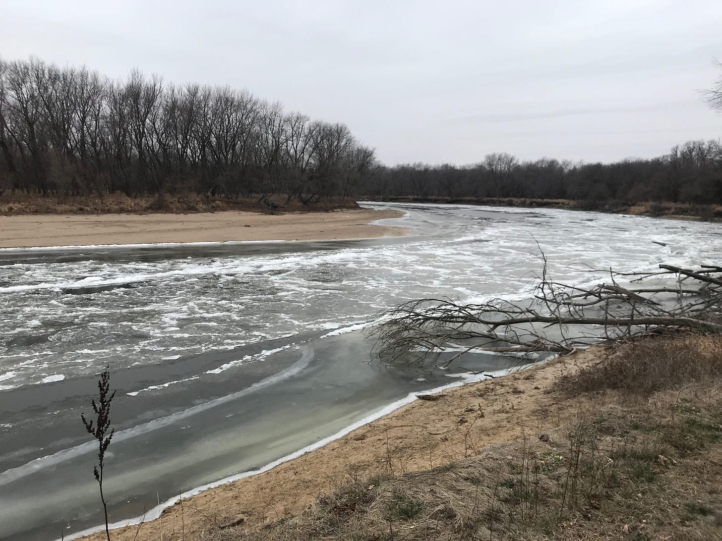 Iowa River nearly covered with ice, trees on the far bank and sandbars on both sides, with fallen trees on the near bank.