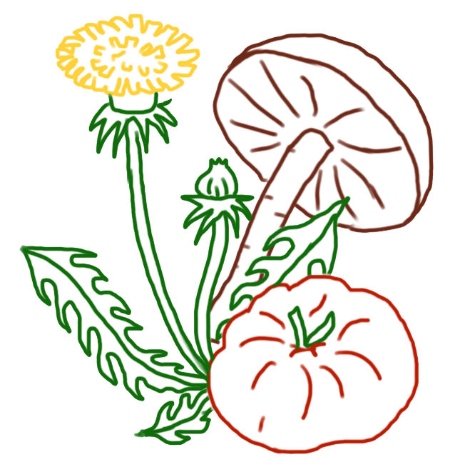 A line drawing of a dandelion flower with leaves, mushroom and a tomato. The Scrap Kitchen Logo