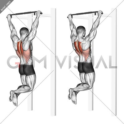 Scapular Pull-Up - Gym visual