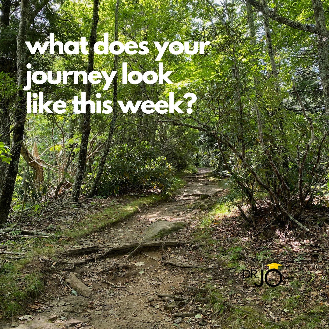 Dirt path in the woods with twigs and roots strewn about. Text says, "What does your journey look like this week?"