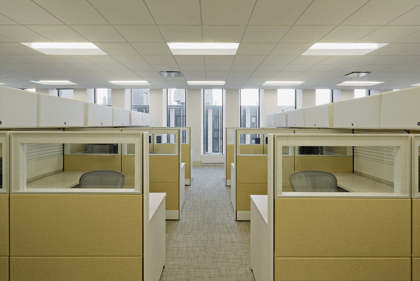 Spare array of office cubicles under florescent light