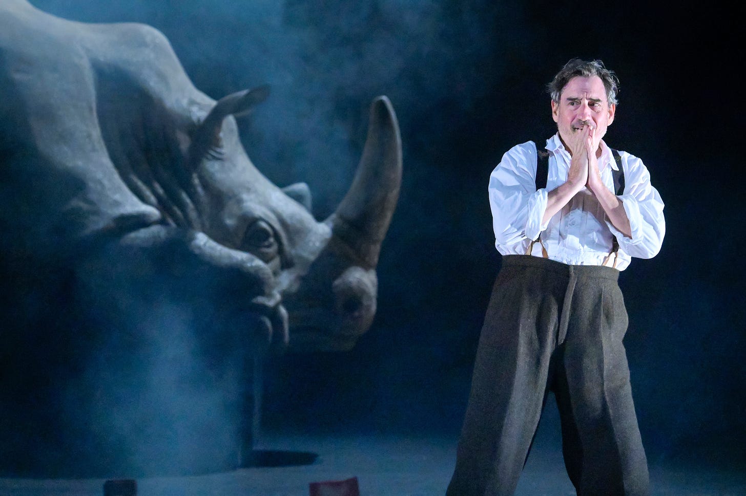 Review: Stampede to see ACT&#39;s &#39;Rhinoceros,&#39; a reminder that trolls aren&#39;t a  new problem | Datebook