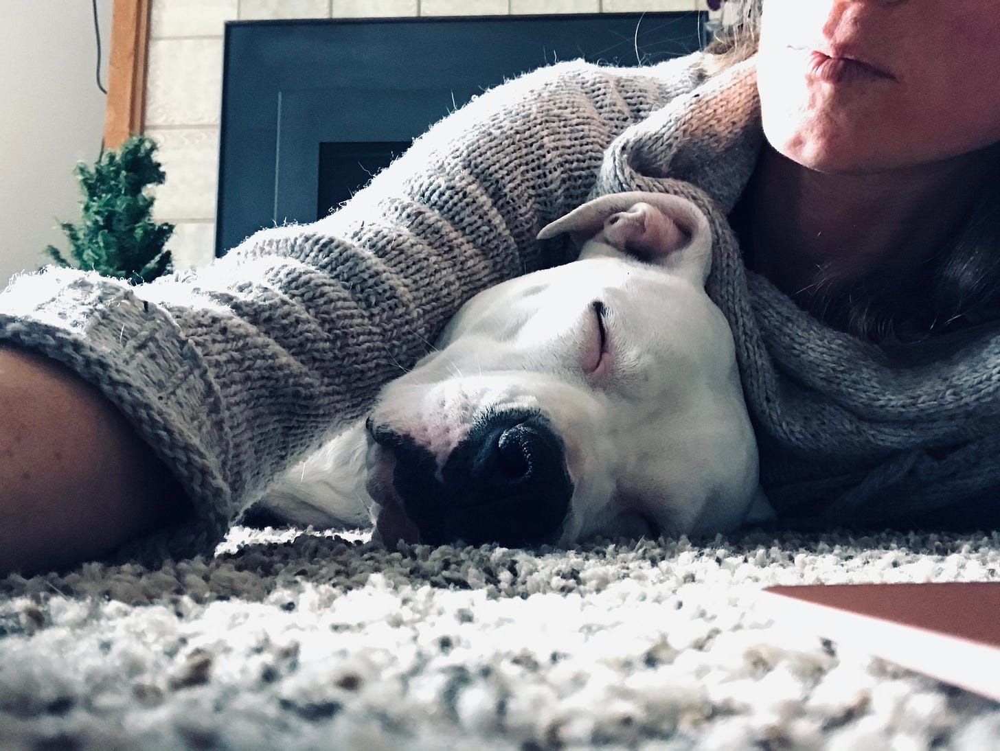 kari takes a selfie with Bitty, the white pit bull who sleeps under her armpit