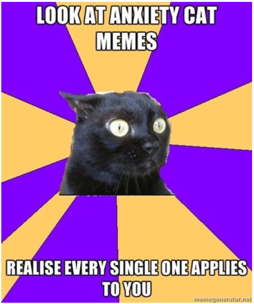 Anxiety cat memes